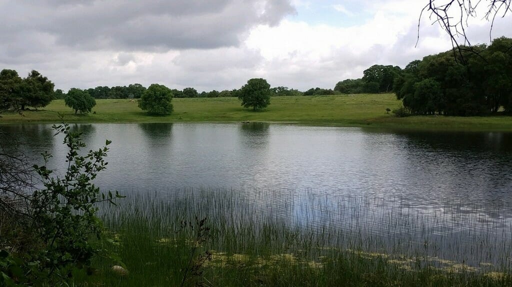 lake_wakamatsufarm wakamatsu lake
