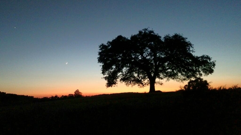 moondusk_wakamatsufarm twilight with moon at farm