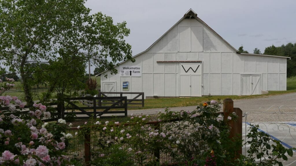 Spring2020_WakamatsuFarm (3)