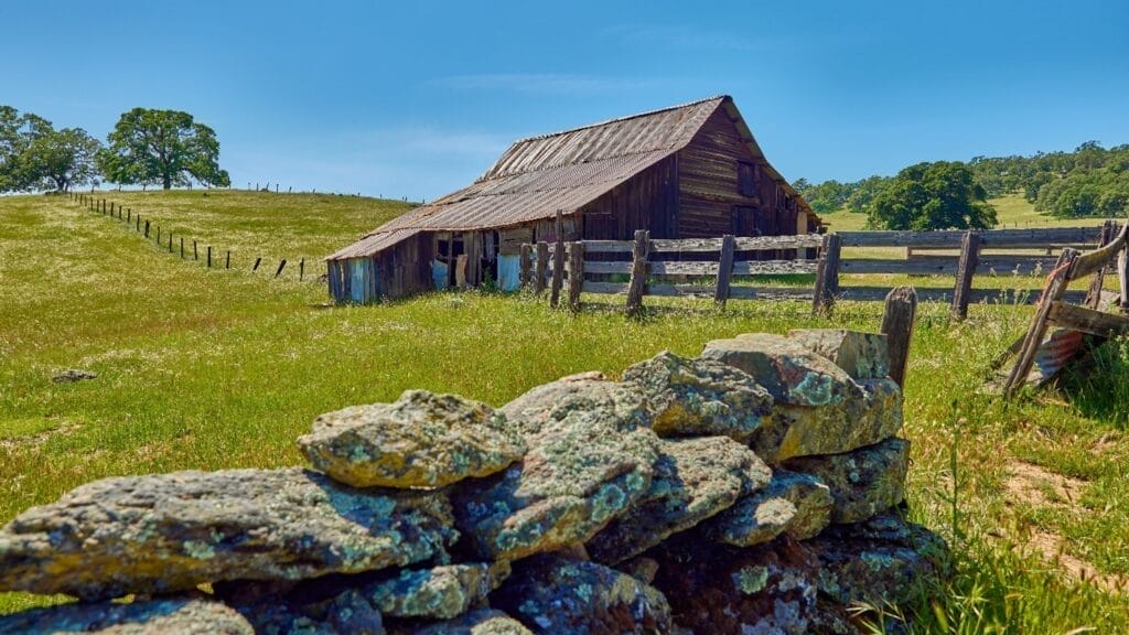 ElDoRanch2