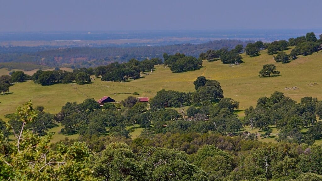 ElDoRanch4