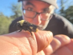 Bee and Brad